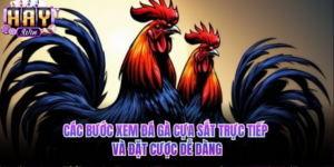 Các bước xem đá gà cựa sắt trực tiếp và đặt cược dễ dàng